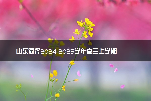 山东菏泽2024-2025学年高三上学期1月期末试题及答案汇总