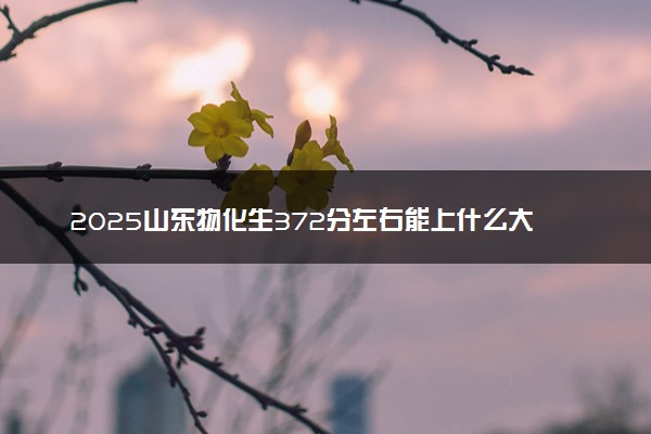 2025山东物化生372分左右能上什么大学 可以报考的院校名单