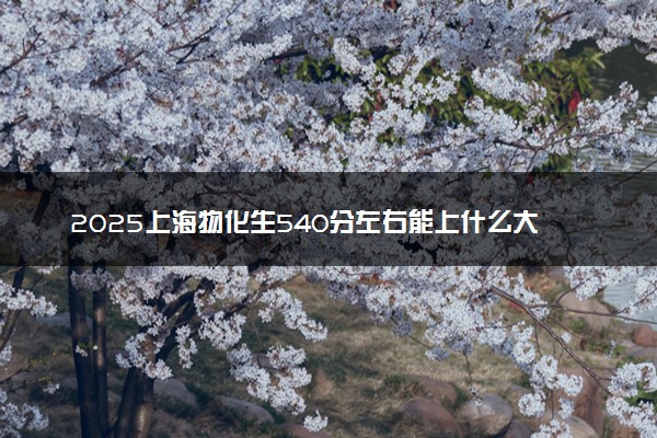 2025上海物化生540分左右能上什么大学 可以报考的院校名单