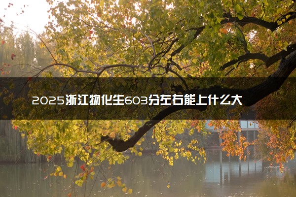 2025浙江物化生603分左右能上什么大学 可以报考的院校名单