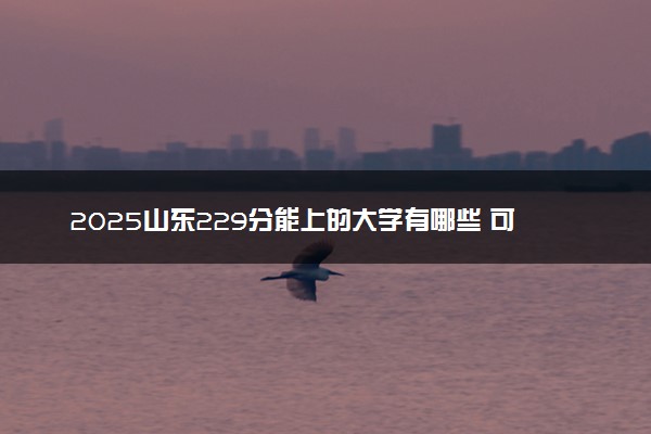 2025山东229分能上的大学有哪些 可以报考院校名单