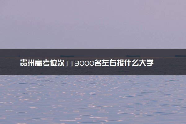 贵州高考位次113000名左右报什么大学好（2025年参考）