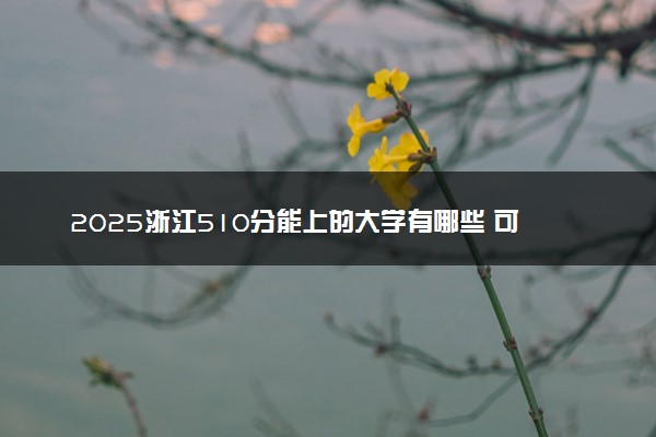 2025浙江510分能上的大学有哪些 可以报考院校名单