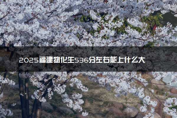 2025福建物化生536分左右能上什么大学 可以报考的院校名单