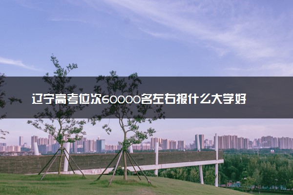 辽宁高考位次60000名左右报什么大学好（2025年参考）