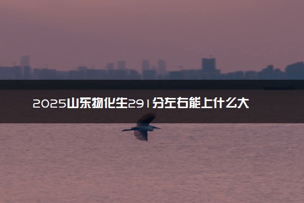 2025山东物化生291分左右能上什么大学 可以报考的院校名单