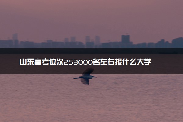 山东高考位次253000名左右报什么大学好（2025年参考）