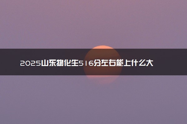 2025山东物化生516分左右能上什么大学 可以报考的院校名单