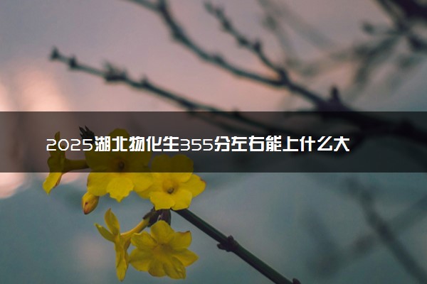 2025湖北物化生355分左右能上什么大学 可以报考的院校名单