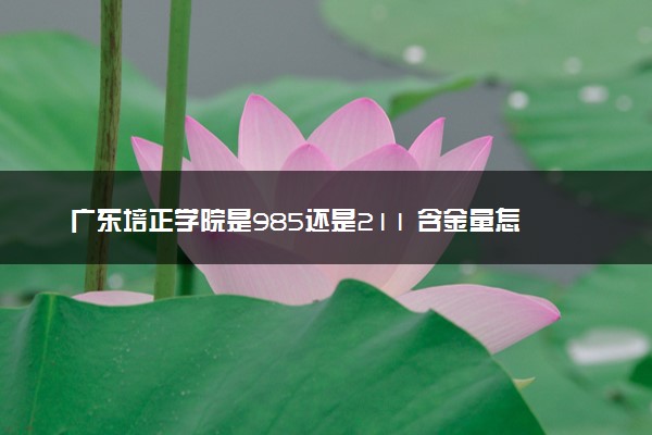 广东培正学院是985还是211 含金量怎么样