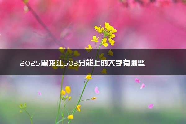 2025黑龙江503分能上的大学有哪些 可以报考院校名单