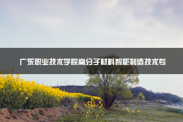 广东职业技术学院高分子材料智能制造技术专业怎么样 录取分数线多少