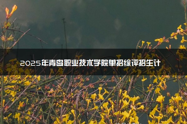 2025年青岛职业技术学院单招综评招生计划及专业