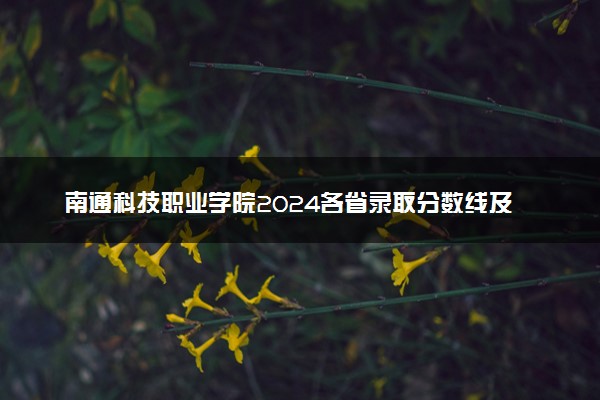 南通科技职业学院2024各省录取分数线及最低位次是多少