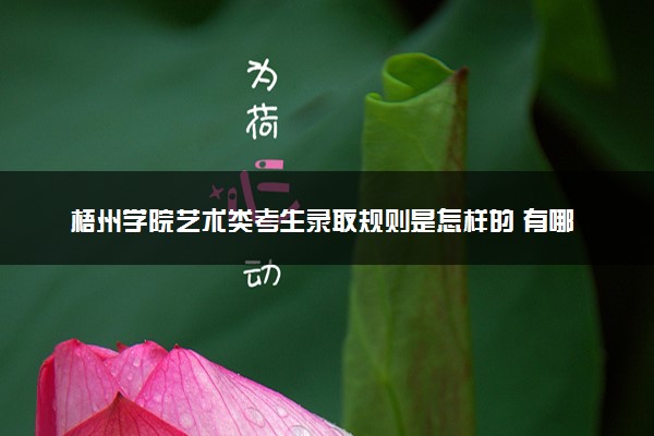 梧州学院艺术类考生录取规则是怎样的 有哪些要求