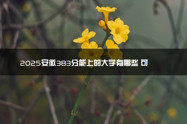 2025安徽383分能上的大学有哪些 可以报考院校名单