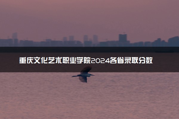 重庆文化艺术职业学院2024各省录取分数线及最低位次是多少