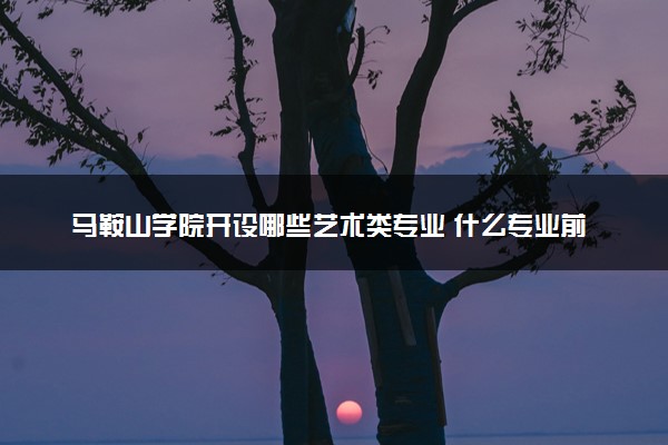 马鞍山学院开设哪些艺术类专业 什么专业前景好