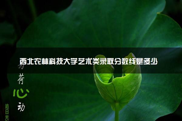 西北农林科技大学艺术类录取分数线是多少 各省分数整理