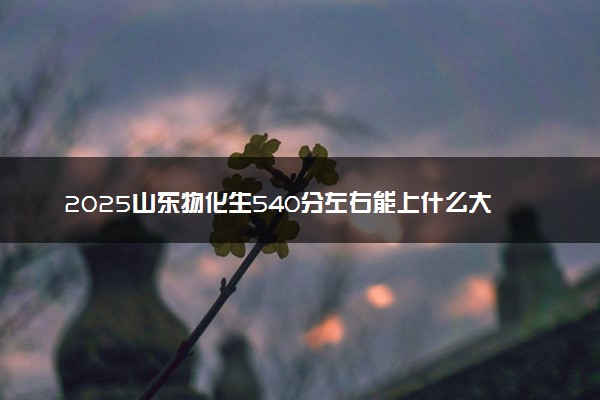 2025山东物化生540分左右能上什么大学 可以报考的院校名单