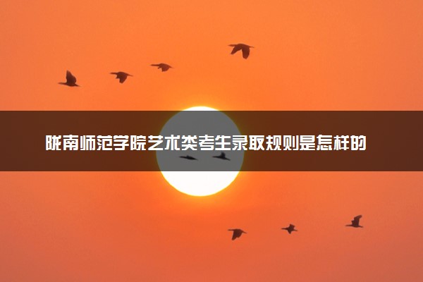 陇南师范学院艺术类考生录取规则是怎样的 有哪些要求