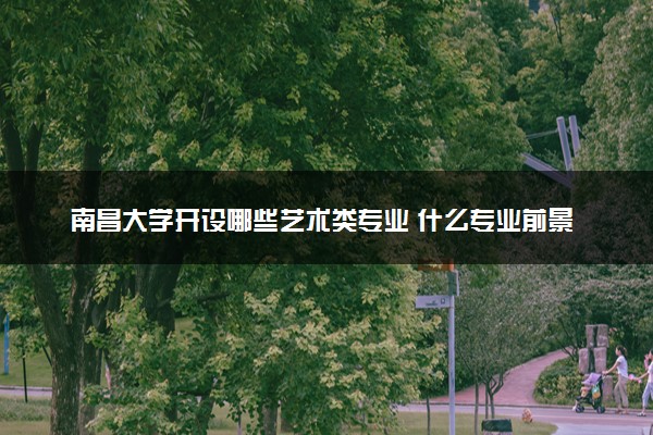 南昌大学开设哪些艺术类专业 什么专业前景好