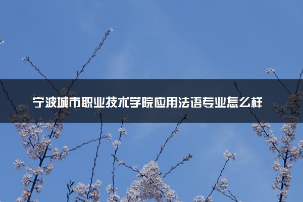 宁波城市职业技术学院应用法语专业怎么样 录取分数线多少