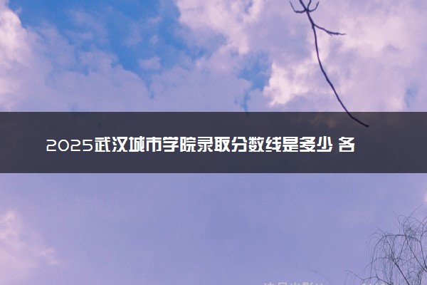 2025武汉城市学院录取分数线是多少 各省最低分数线汇总