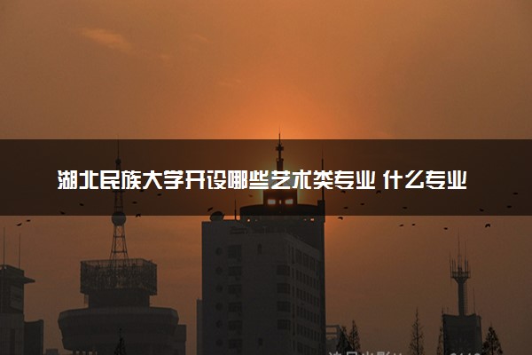 湖北民族大学开设哪些艺术类专业 什么专业前景好