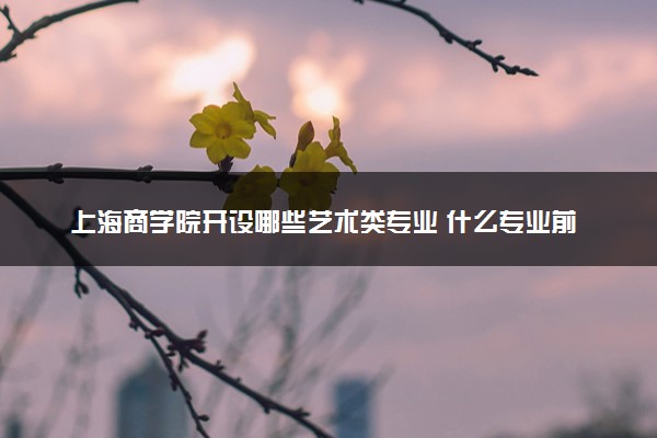 上海商学院开设哪些艺术类专业 什么专业前景好