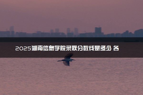 2025湖南信息学院录取分数线是多少 各省最低分数线汇总