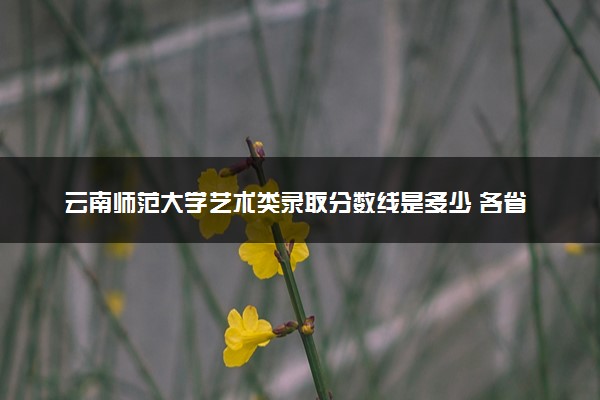 云南师范大学艺术类录取分数线是多少 各省分数整理