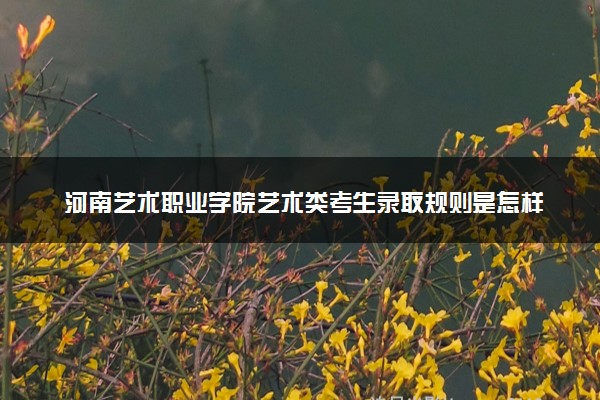 河南艺术职业学院艺术类考生录取规则是怎样的 有哪些要求