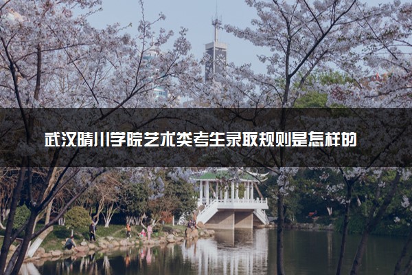 武汉晴川学院艺术类考生录取规则是怎样的 有哪些要求