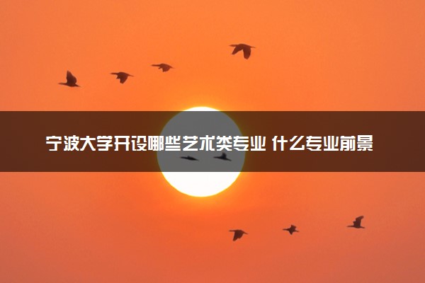 宁波大学开设哪些艺术类专业 什么专业前景好