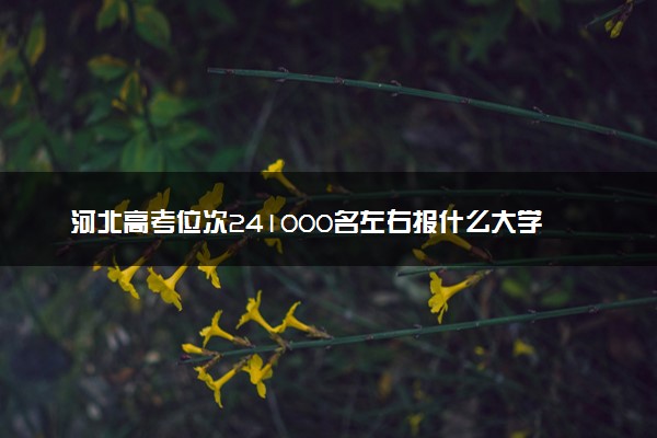 河北高考位次241000名左右报什么大学好（2025年参考）