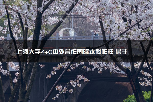 上海大学4+0中外合作国际本科咋样 属于什么级别