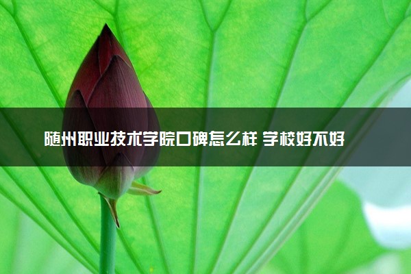 随州职业技术学院口碑怎么样 学校好不好