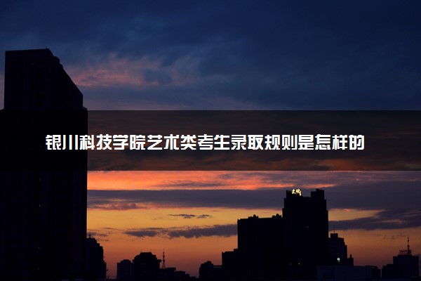 银川科技学院艺术类考生录取规则是怎样的 有哪些要求