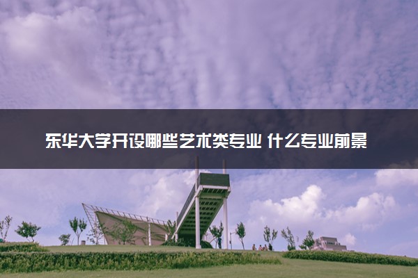 东华大学开设哪些艺术类专业 什么专业前景好