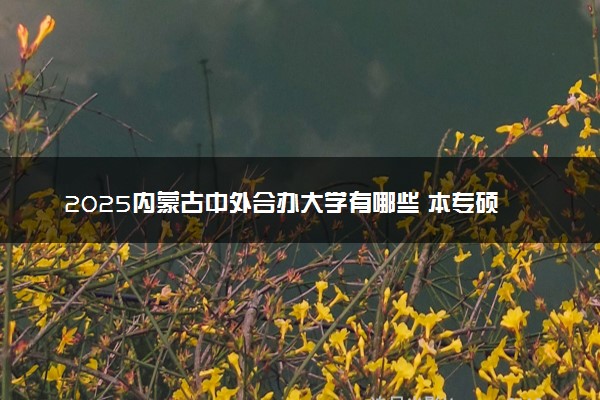 2025内蒙古中外合办大学有哪些 本专硕博院校名单汇总