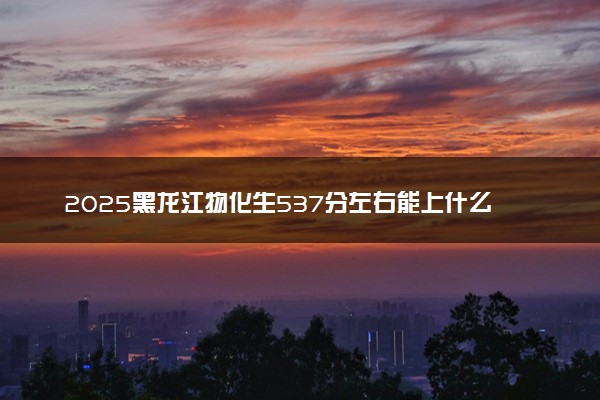 2025黑龙江物化生537分左右能上什么大学 可以报考的院校名单