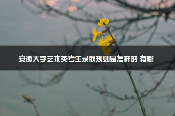 安徽大学艺术类考生录取规则是怎样的 有哪些要求