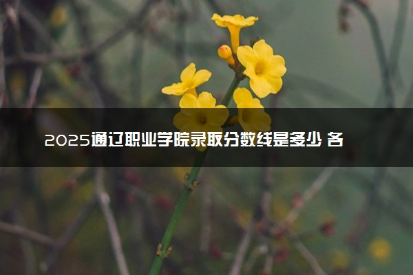 2025通辽职业学院录取分数线是多少 各省最低分数线汇总