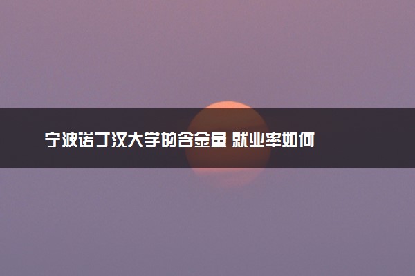 宁波诺丁汉大学的含金量 就业率如何