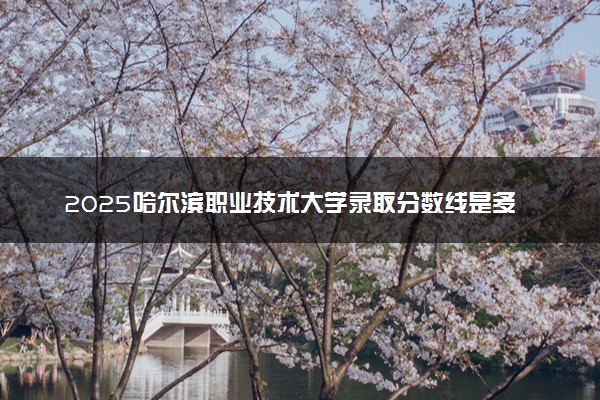 2025哈尔滨职业技术大学录取分数线是多少 各省最低分数线汇总