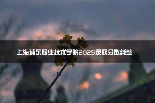 上海浦东职业技术学院2025录取分数线整理 最低多少分可以考上