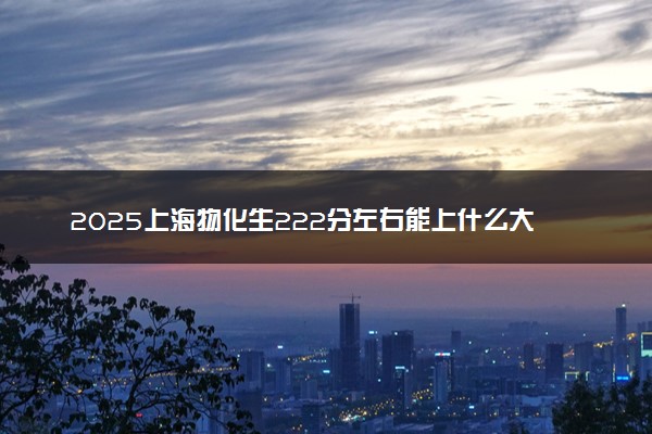 2025上海物化生222分左右能上什么大学 可以报考的院校名单