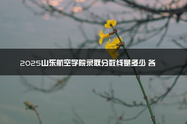 2025山东航空学院录取分数线是多少 各省最低分数线汇总