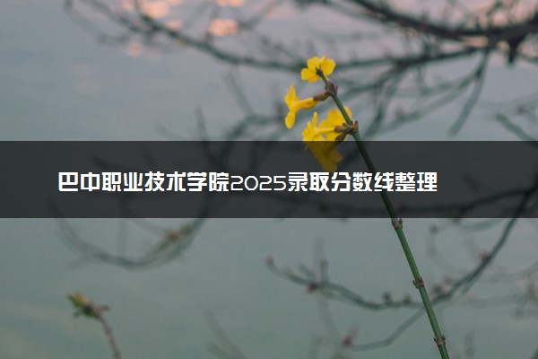 巴中职业技术学院2025录取分数线整理 最低多少分可以考上